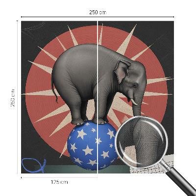 Samolepilna fototapeta Cirkuški slon