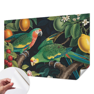 Otroška fototapeta s tropskim motivom za otroško sobo