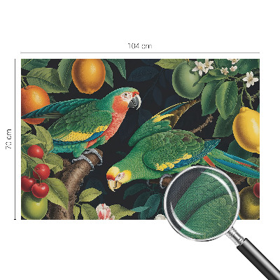 Otroška fototapeta Tropska pustolovščina