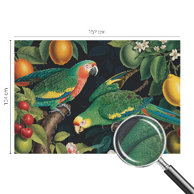 Otroška fototapeta Tropska pustolovščina