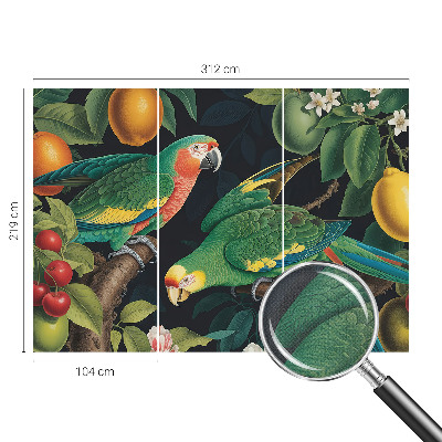 Otroška fototapeta Tropska pustolovščina