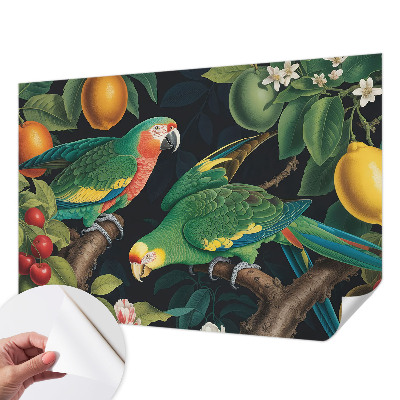 Otroška fototapeta s tropskim motivom za otroško sobo