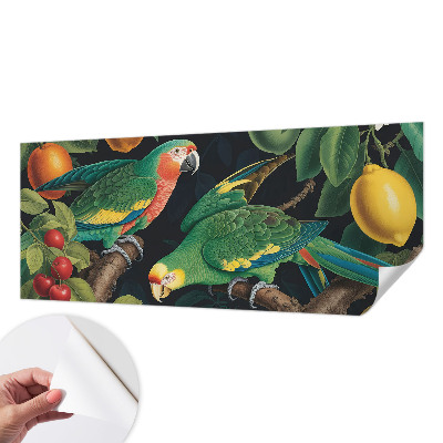 Otroška fototapeta Tropska pustolovščina