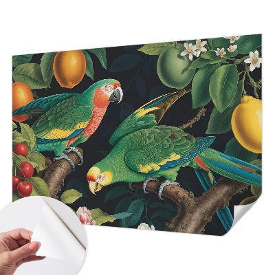 Otroška fototapeta Tropska pustolovščina