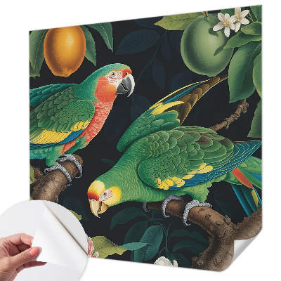 Otroška fototapeta Tropska pustolovščina