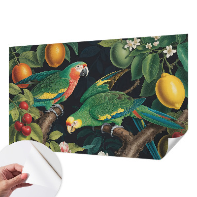 Otroška fototapeta Tropska pustolovščina