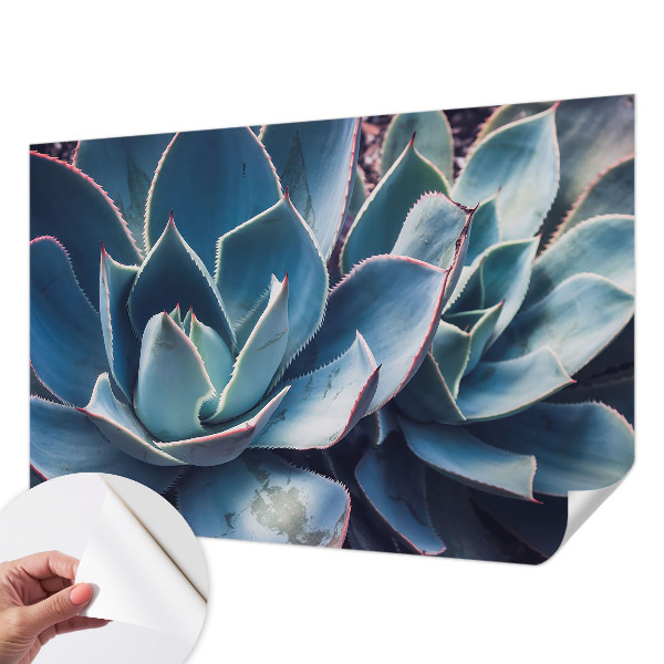 Samolepilna fototapeta za dnevno sobo z motivom zelene aloe
