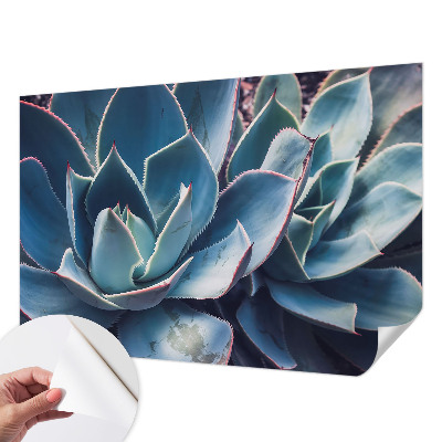 Samolepilna fototapeta za dnevno sobo z motivom zelene aloe