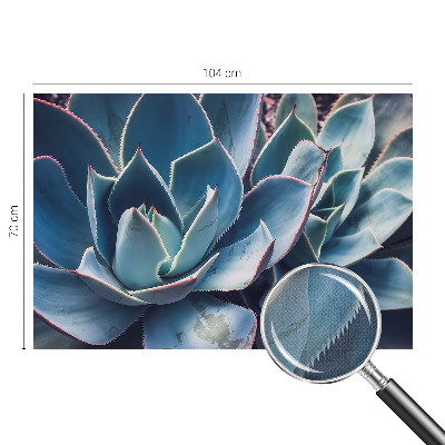 Samolepilna fototapeta za dnevno sobo z motivom zelene aloe