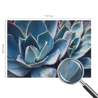 Samolepilna fototapeta za dnevno sobo z motivom zelene aloe