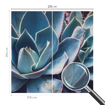 Samolepilna fototapeta za dnevno sobo z motivom zelene aloe