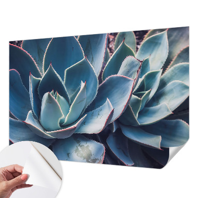 Samolepilna fototapeta za dnevno sobo z motivom zelene aloe