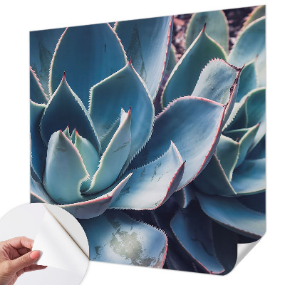 Samolepilna fototapeta za dnevno sobo z motivom zelene aloe
