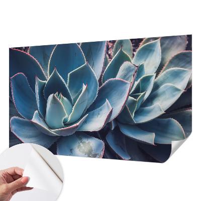 Samolepilna fototapeta za dnevno sobo z motivom zelene aloe
