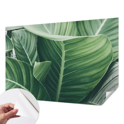 Otroška fototapeta Zeleni mir