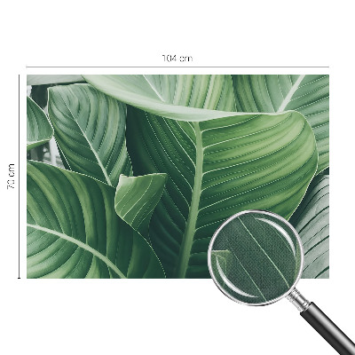 Otroška fototapeta Zeleni mir