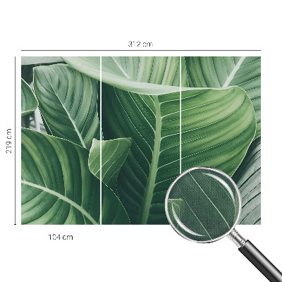 Otroška fototapeta Zeleni mir