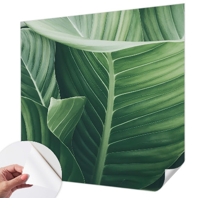 Otroška fototapeta Zeleni mir