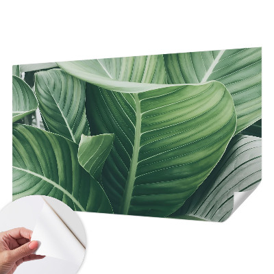 Otroška fototapeta Zeleni mir