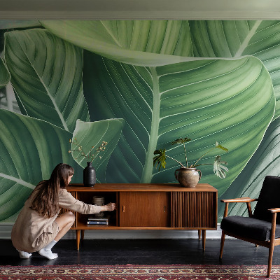 Otroška fototapeta Zeleni mir