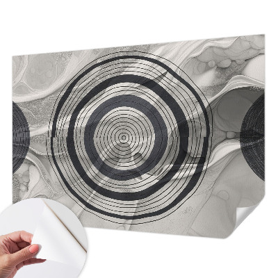 Samolepilna fototapeta za spalnico Sivi krogi