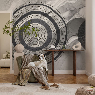 Samolepilna fototapeta za spalnico Sivi krogi