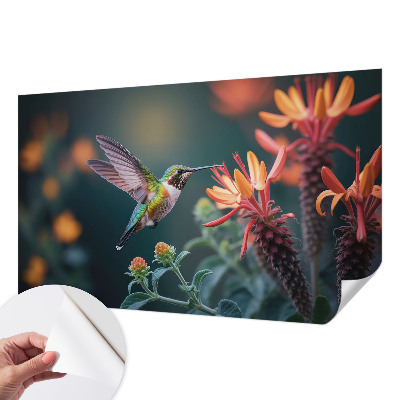 3D fototapeta s motivom cvetov in kolibrijev