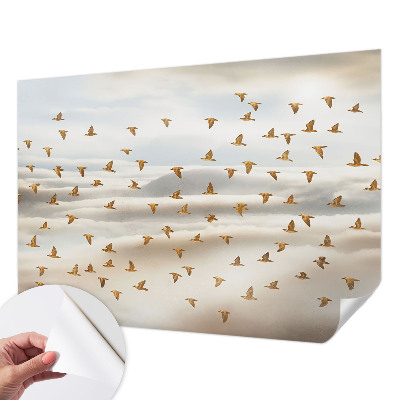 Otroška fototapeta z motivom ptic v letu