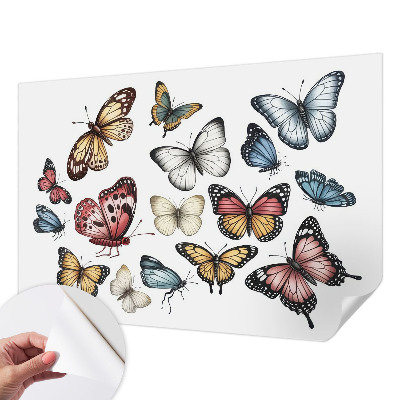 Samolepilna fototapeta Rajski metulji