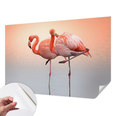 Samolepilna fototapeta z motivom nežnih flamingov