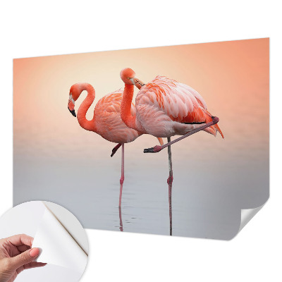 Samolepilna fototapeta z motivom nežnih flamingov