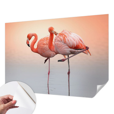 Samolepilna fototapeta z motivom nežnih flamingov