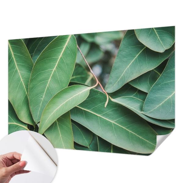 Samolepilna fototapeta Zeleni listi