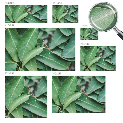 Samolepilna fototapeta z zeleni motivom listov
