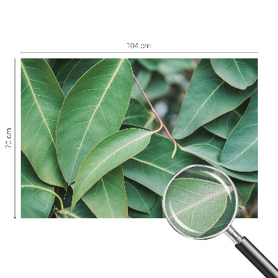 Samolepilna fototapeta z zeleni motivom listov