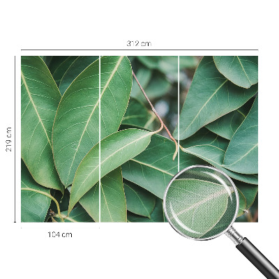 Samolepilna fototapeta Zeleni listi