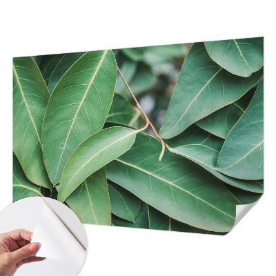 Samolepilna fototapeta Zeleni listi