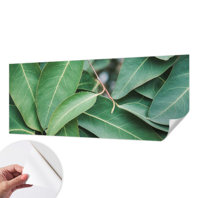 Samolepilna fototapeta Zeleni listi
