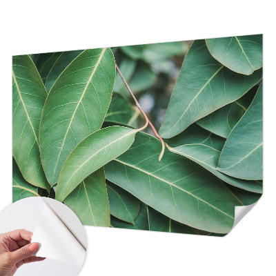 Samolepilna fototapeta Zeleni listi