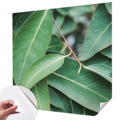 Samolepilna fototapeta Zeleni listi