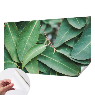 Samolepilna fototapeta Zeleni listi