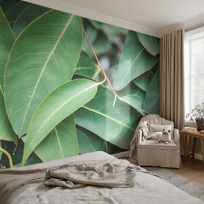 Samolepilna fototapeta Zeleni listi