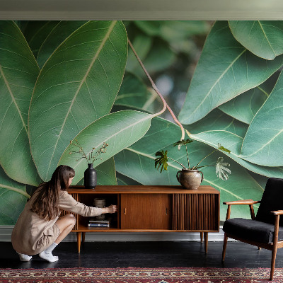 Samolepilna fototapeta Zeleni listi