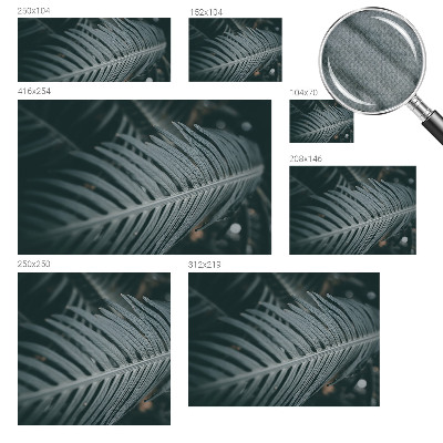 Fototapeta za otroško sobo Zeleni list