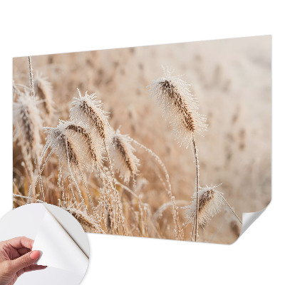 Samolepilna fototapeta z zimsko pokrajino
