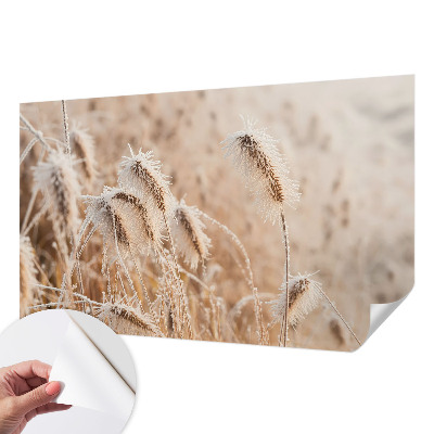 Samolepilna fototapeta Zimska pokrajina