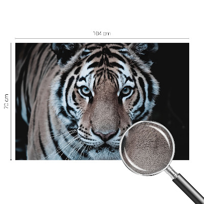 Fototapeta za otroško sobo Portret tigra