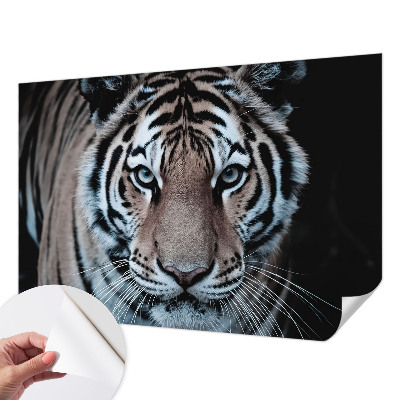 Fototapeta za otroško sobo Portret tigra