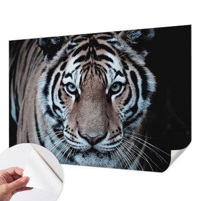 Fototapeta za otroško sobo Portret tigra