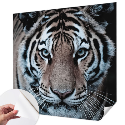 Fototapeta za otroško sobo Portret tigra